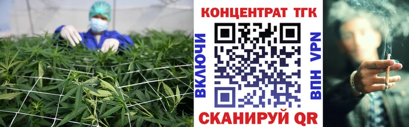 ТГК THC oil  Короча 