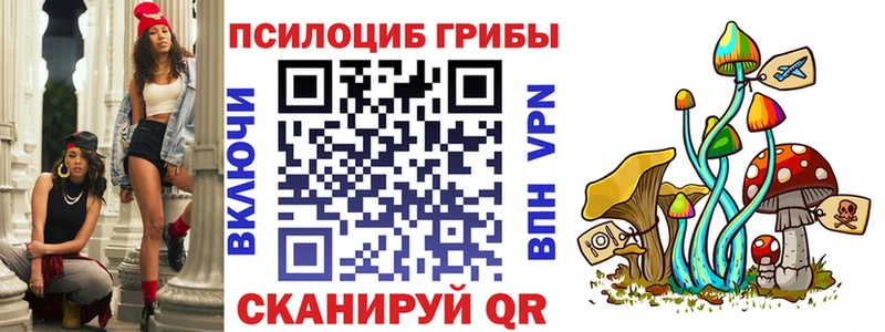 Псилоцибиновые грибы прущие грибы  shop клад  Короча 